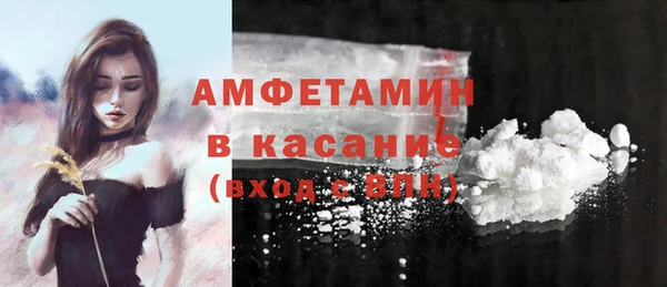 дмт Ельня