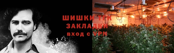 дмт Ельня