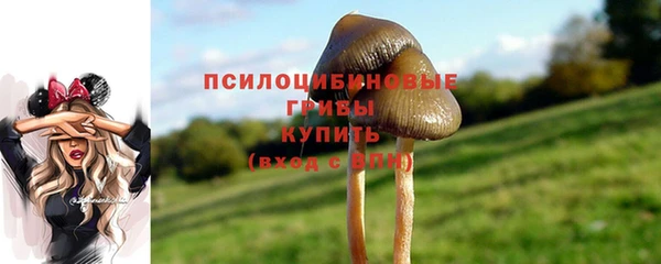 дмт Ельня