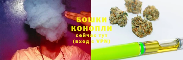 дмт Ельня
