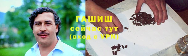дмт Ельня