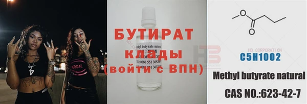 дмт Ельня
