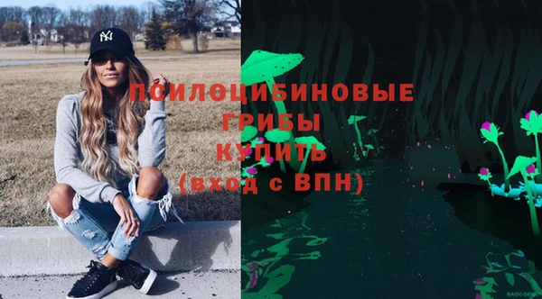 прущая мука Елабуга