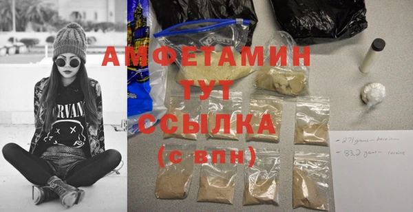 дмт Ельня