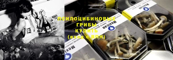 дмт Ельня