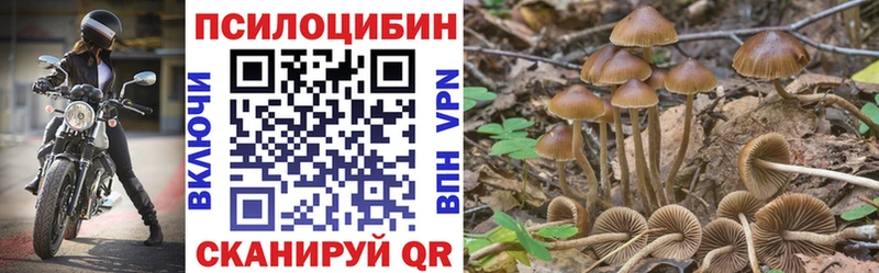 Галлюциногенные грибы мицелий  Купить закладки  Рубцовск 